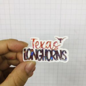 Longhorn acrylic-5pcs